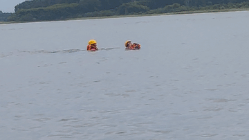 640 (1).gif 640 (1).gif