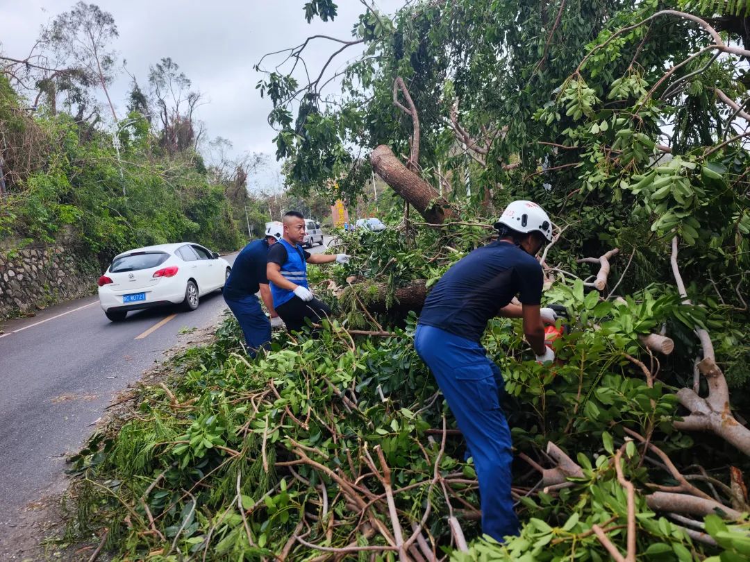 微信图片_2025-10-29_150549_184.jpg 微信图片_2025-10-29_150549_184.jpg