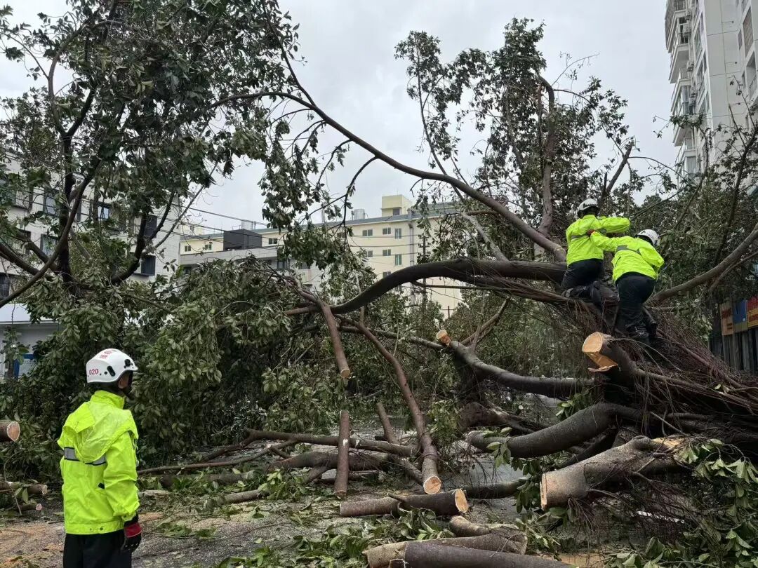 微信图片_2025-10-29_150643_705.jpg 微信图片_2025-10-29_150643_705.jpg