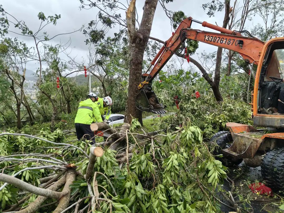 微信图片_2025-10-29_150648_233.jpg 微信图片_2025-10-29_150648_233.jpg